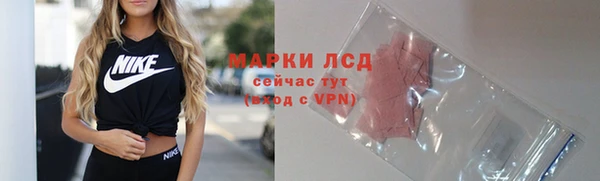 сатива Михайловка