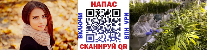 купить  сайты  это клад  Конопля планчик  Шелехов 